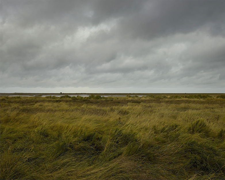 John Riddy 'Blakeney (1), 2021'