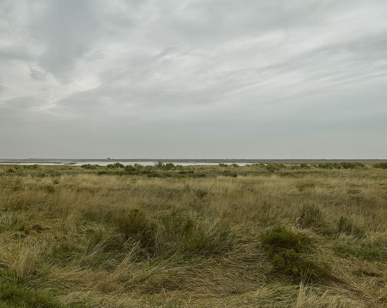 John Riddy 'Blakeney (5), 2022'