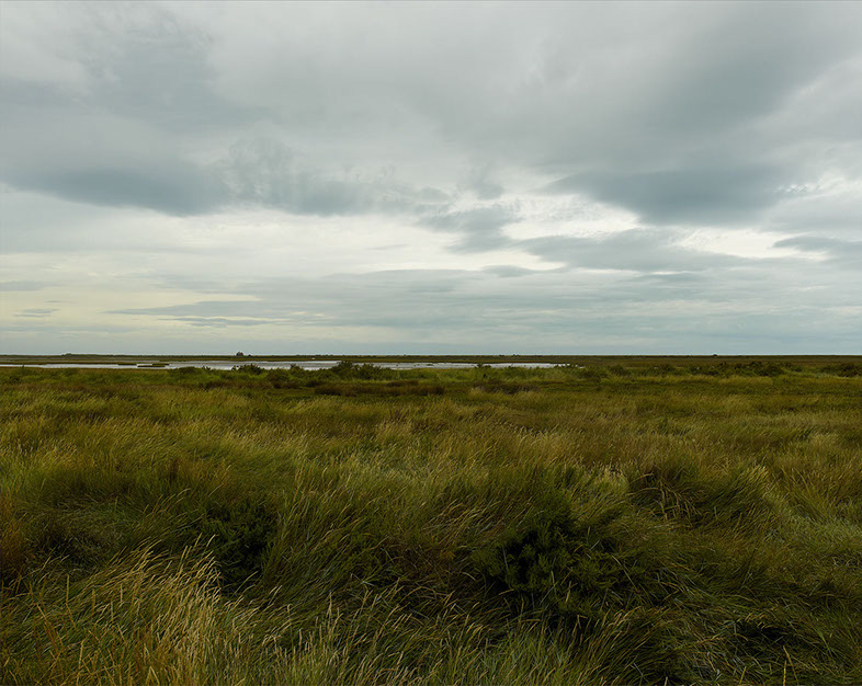 John Riddy 'Blakeney (7), 2022'