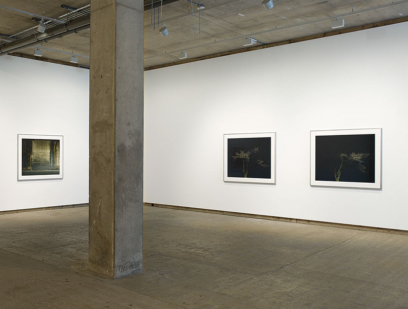 Installation view of John Riddy's exhibition "Half-light" at Frith Street Gallery in 2018