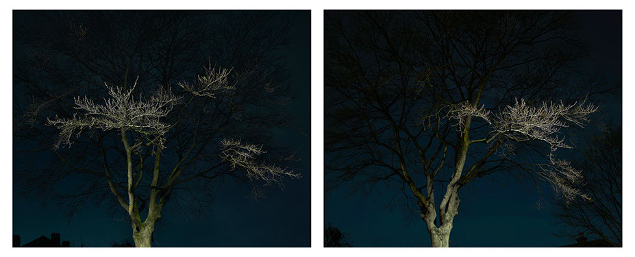 John Riddy 'London (Herne Hill 1 and 2), 2017