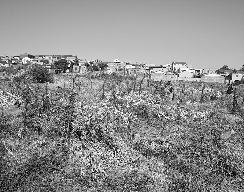 John Riddy Peninsula (Imhoff) 2015, Photograph of Western Cape South Africa