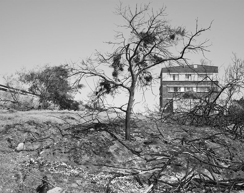 A photograph from John Riddy's series 'Peninsula' taken in the Western Cape Peninsula of South Africa