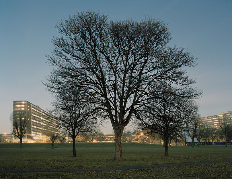 John Riddy London (Burgess Park 2) 2008
