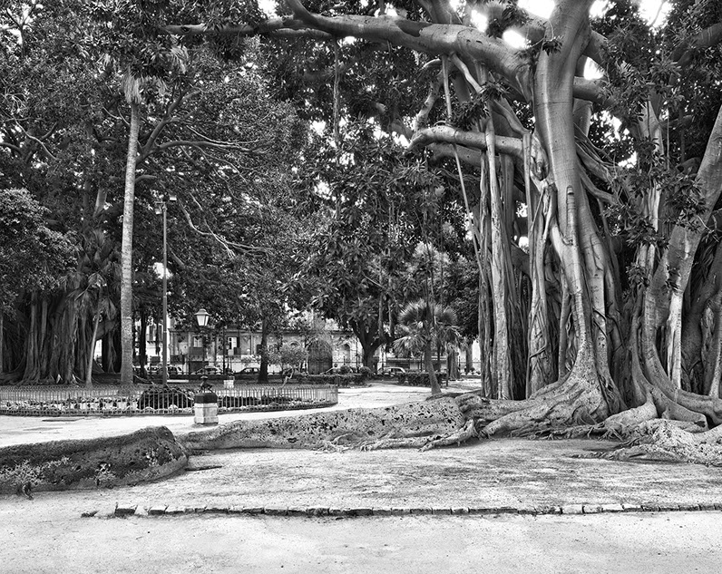 A photograph from John Riddy's series 'Palermo' of the Piazza Marina
