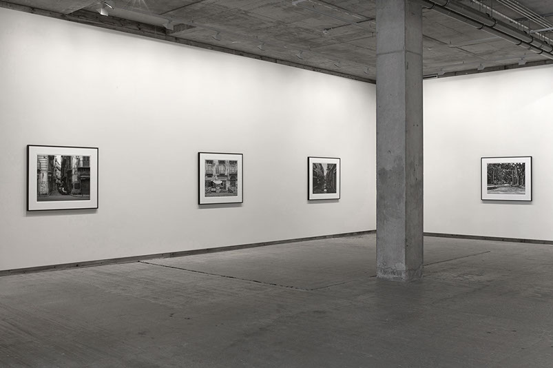 Installation view of John Riddy's exhibition 'Palermo' at Frith Street Gallery in 2013