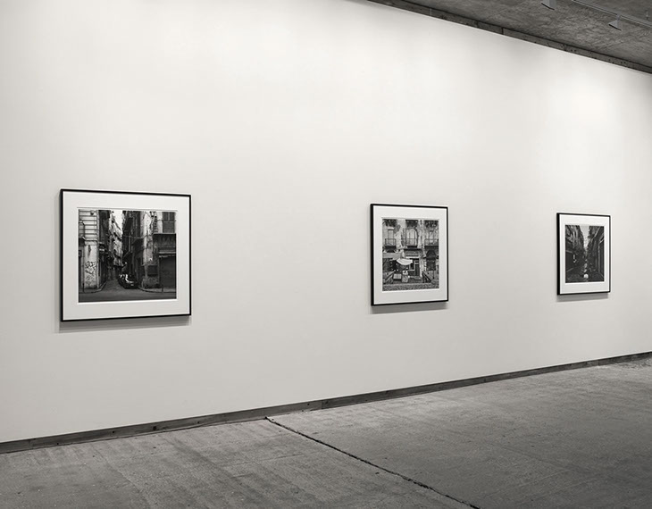 Installation view of John Riddy's exhibition 'Palermo' at Frith Street Gallery in 2013