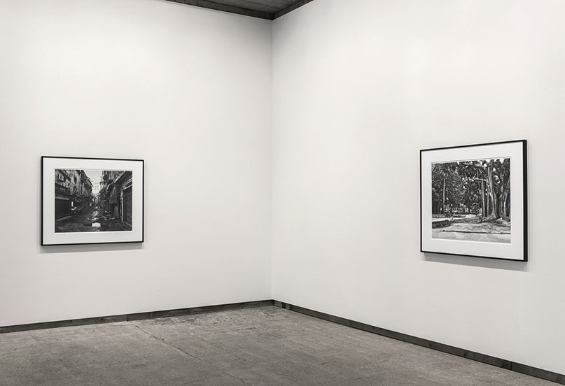Installation view of John Riddy's exhibition 'Palermo' at Frith Street Gallery in 2013