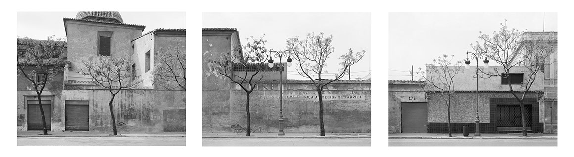 John Riddy Valencia ( Seven Trees) 1996